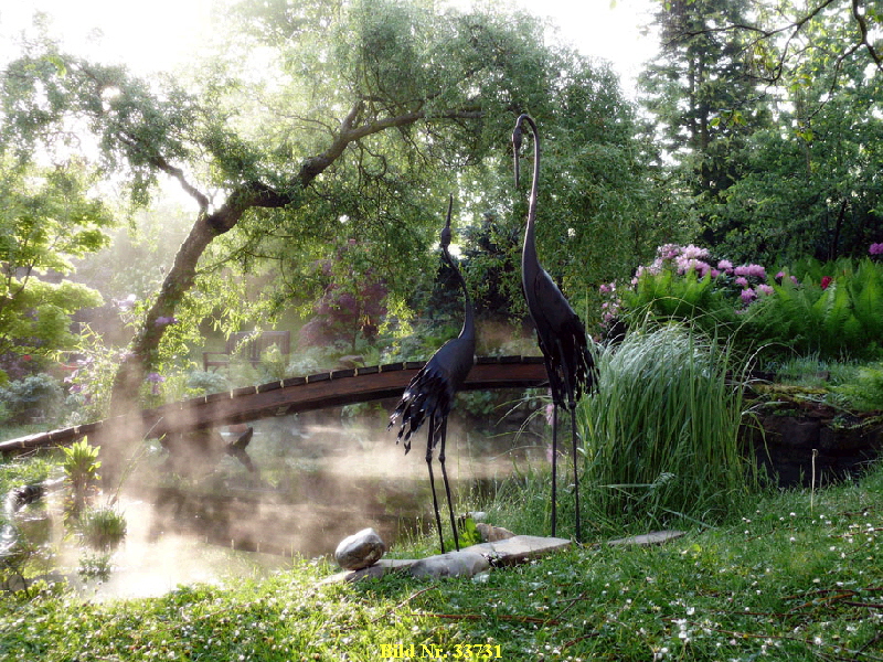 Teich im Nebel