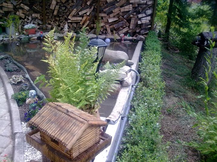 Vogelhaus am Gartenteich