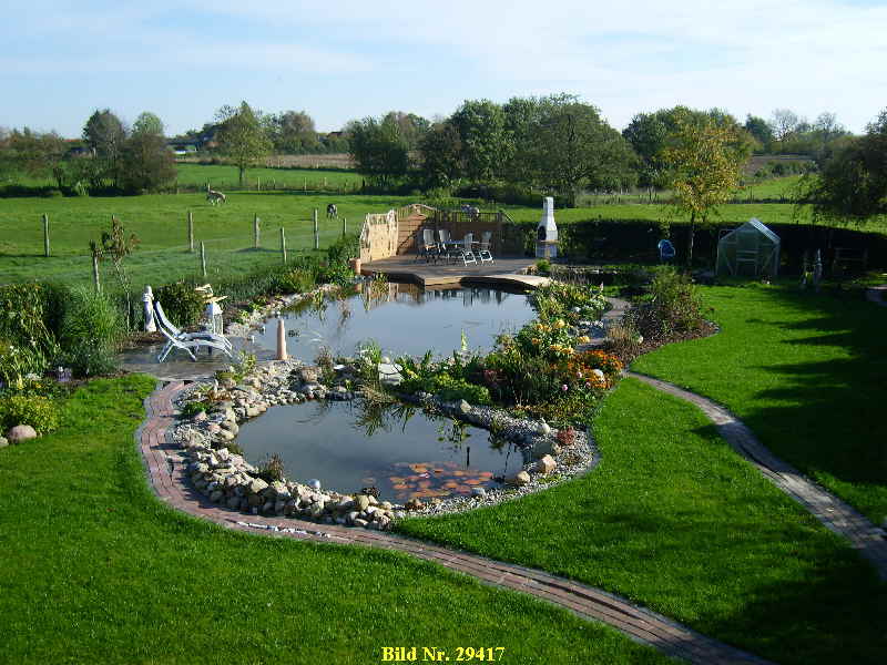 Wasserweld im Garten